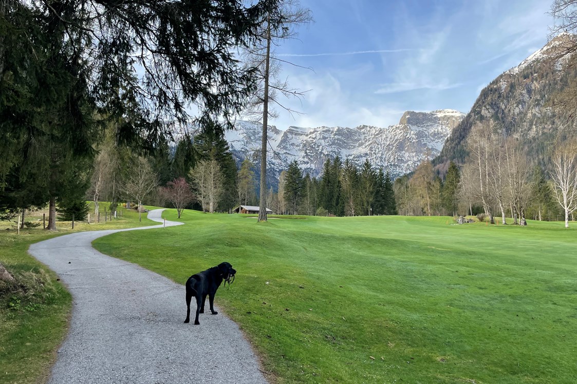 Urlaub-mit-Hund: Malerische unmittelbare Umgebung  - Alpenhotel Tyrol - 4* Adults Only Hotel am Achensee