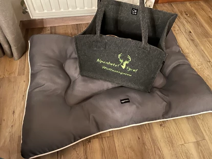 Hundehotel - Pools: Schwimmteich - Willkommens-Geschenk Hund 🐶 🎁  - Alpenhotel Tyrol - 4* Adults Only Hotel am Achensee