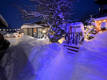 Hundehotel - Pools: Schwimmteich - Alpenhotel Tyrol - 4* Adults Only Hotel am Achensee