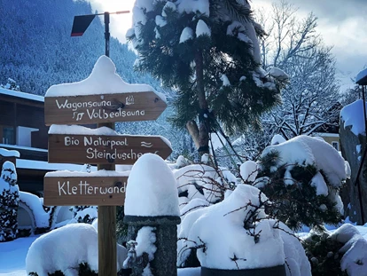 Hundehotel - Pools: Schwimmteich - Alpenhotel Tyrol - 4* Adults Only Hotel am Achensee