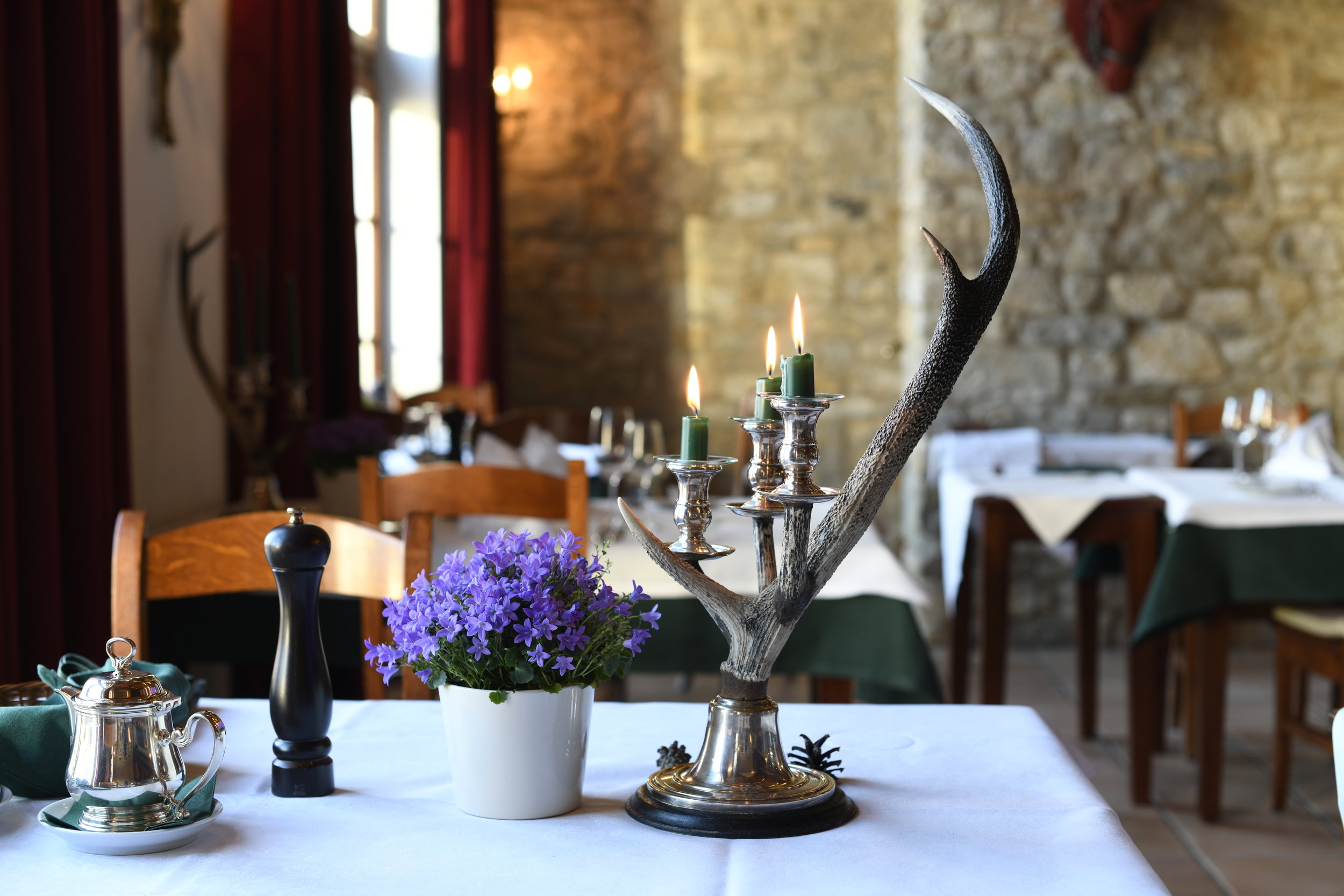 Hundehotel - Zürich-Stadt - Hofgut Albführen