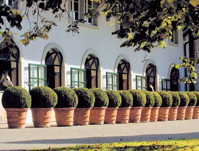 Hundehotel - Zürich-Stadt - Hofgut Albführen