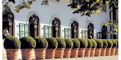 Hundehotel - PLZ 8514 (Schweiz) - Hofgut Albführen