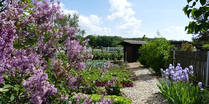 Hundehotel - PLZ 8514 (Schweiz) - Hofgut Albführen
