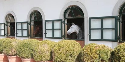 Hundehotel - PLZ 8514 (Schweiz) - Hofgut Albführen