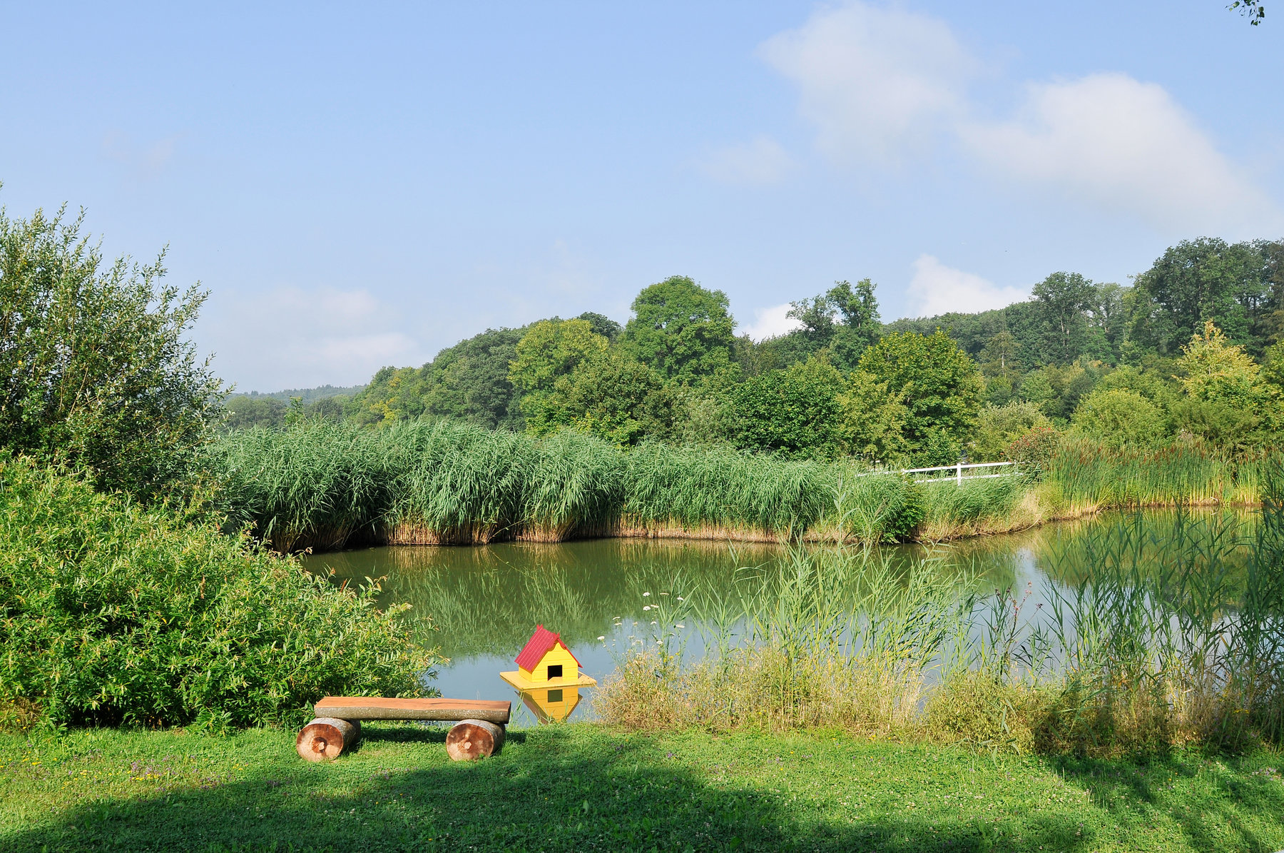 Urlaub-mit-Hund: Hofgut Albführen