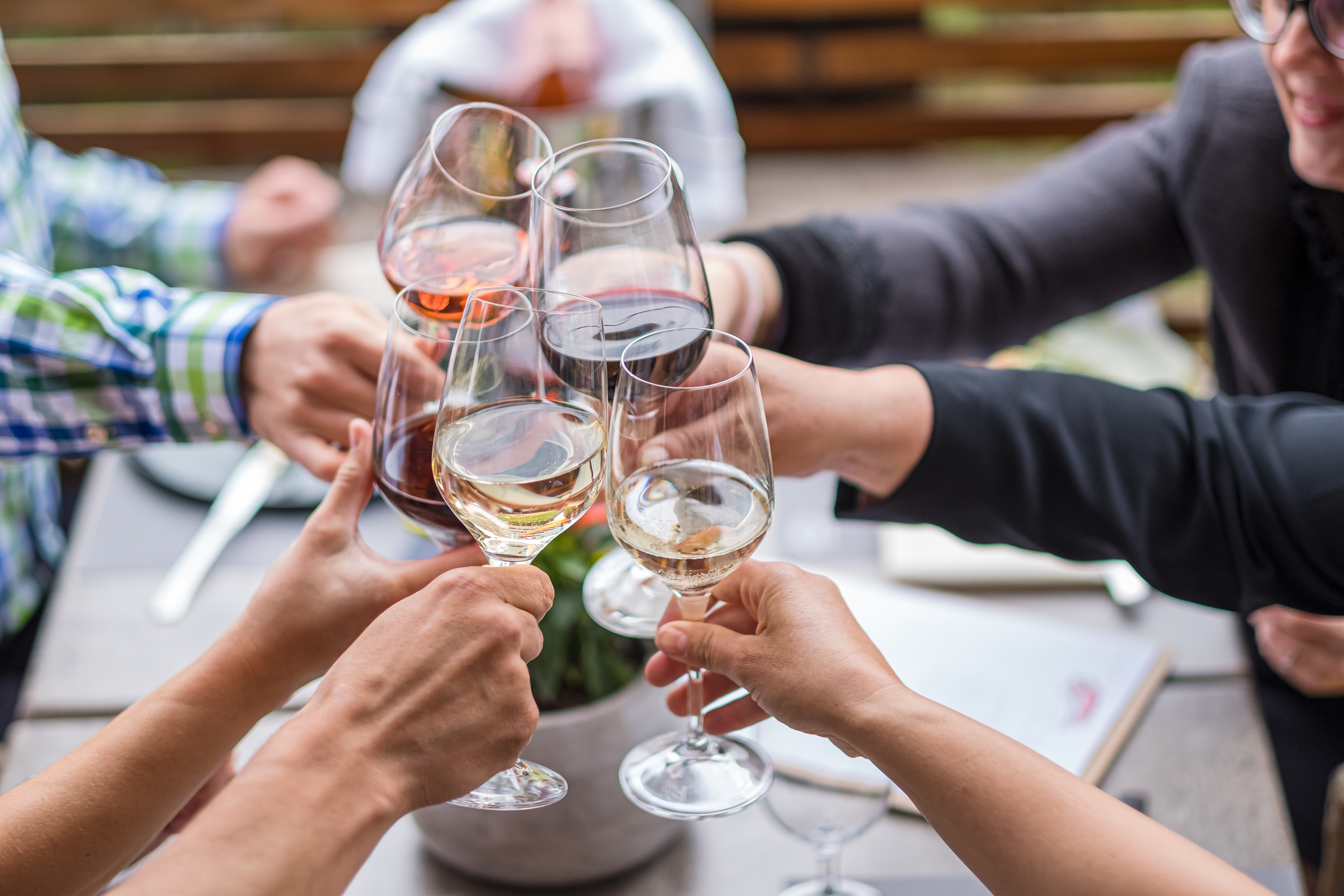 Urlaub-mit-Hund: einfach genießen - Club Hotel am Kreischberg