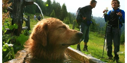 Hundehotel - Umgebungsschwerpunkt: Fluss - Hohentauern - Urlaub mit Hund am Kreischberg (Foto: Ikarus TVB Murau-Kreischberg) - Club Hotel am Kreischberg