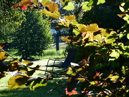 Hundehotel - Pools: Schwimmteich - Das Naturforsthaus bietet viele Relaxflächen  - Naturforsthaus