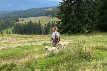 Urlaub-mit-Hund: Wanderung 7 Hüttenwandertour - Naturforsthaus 