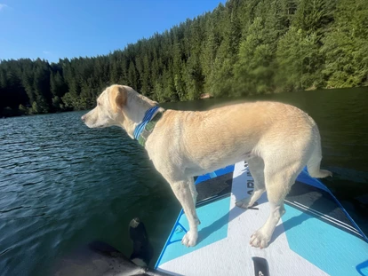 Hundehotel - Pools: Schwimmteich - SUP ausleihen möglich  - Naturforsthaus
