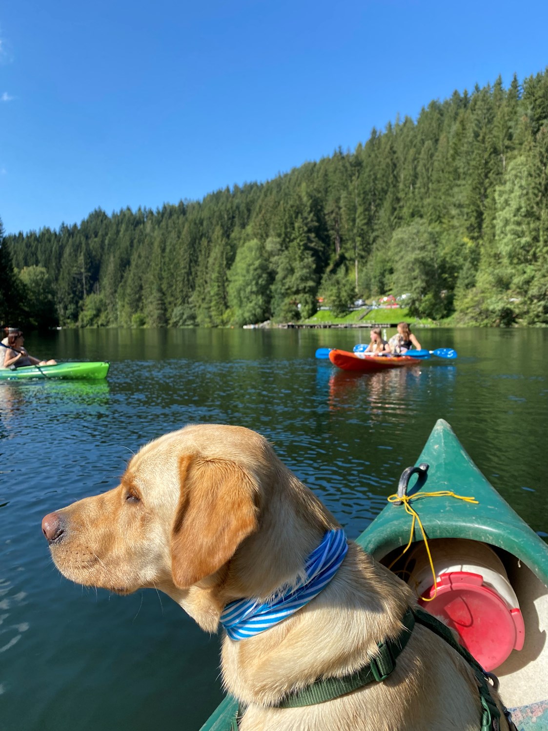 Urlaub-mit-Hund: Kanufahrer mit Hund  - Naturforsthaus 