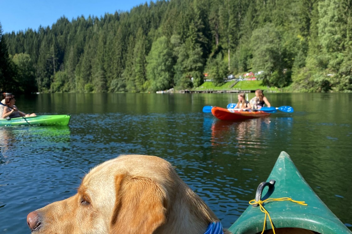 Urlaub-mit-Hund: Kanufahrt mit Hund  - Naturforsthaus 