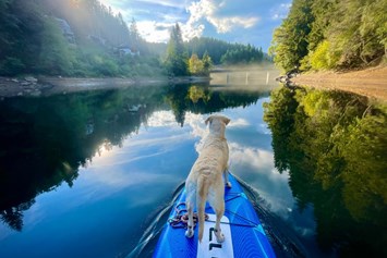 Urlaub-mit-Hund: Hirzmann See - Naturforsthaus 