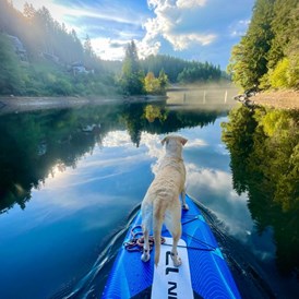 Urlaub-mit-Hund: Hirzmann See - Naturforsthaus 