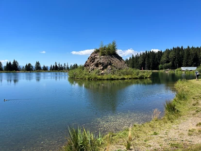 Hundehotel - Pools: Schwimmteich - Naturforsthaus
