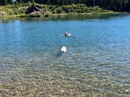 Hundehotel - Pools: Schwimmteich - Naturforsthaus