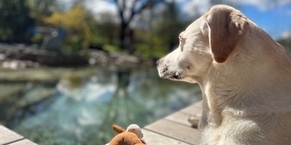Hundehotel - PLZ 8075 (Österreich) - Der Hundebadeteich lädt nicht nur Labradore ein zu planschen - Naturforsthaus 