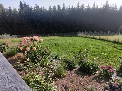 Hundehotel - Pools: Schwimmteich - Naturforsthaus