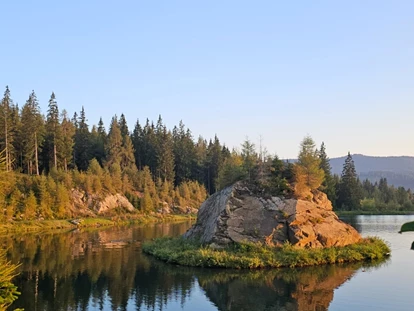Hundehotel - Pools: Schwimmteich - Der nahe gelegene Hebalmsee - Naturforsthaus