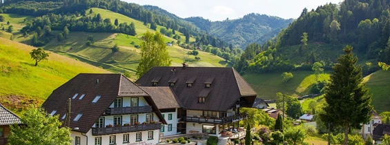 Urlaub-mit-Hund: Landhaus Langeck