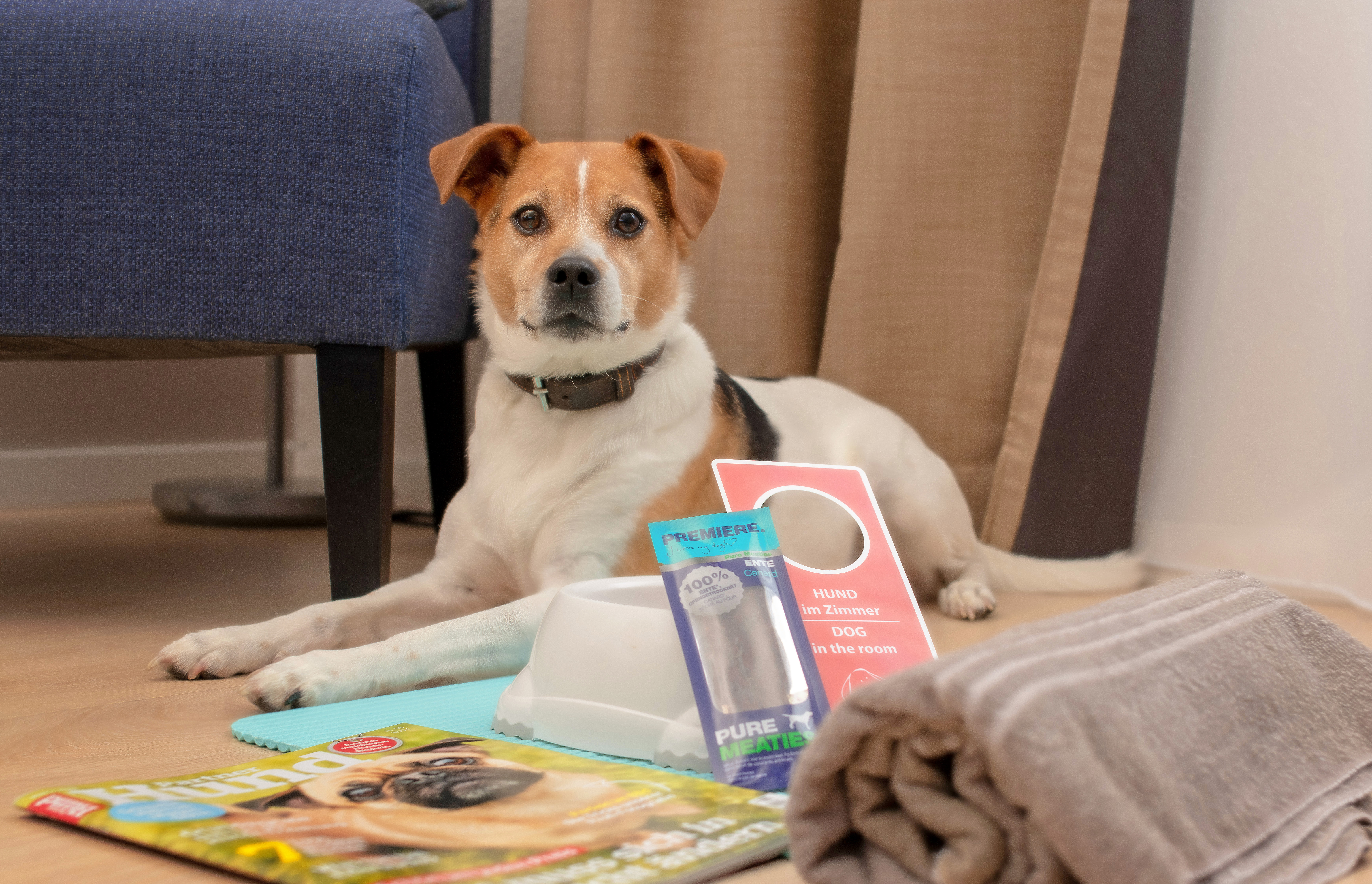 Hundehotel - Hund im Restaurant erlaubt - Baesweiler - Hotel Mercure Aachen Europaplatz