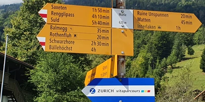 Hundehotel - WLAN - Saanenmöser - idealer Ausgangspunkt für zahlreiche Spaziergänge und Wanderungen - Chalet-Gafri BnB - die traditionelle Frühstückspension