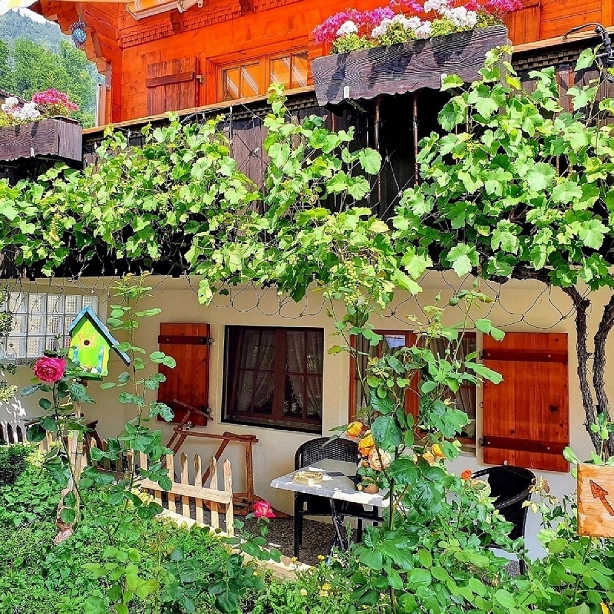 Urlaub-mit-Hund: das 'Arvenstübli' bei uns im Chalet mit separatem Eingang - Chalet-Gafri BnB - die traditionelle Frühstückspension 