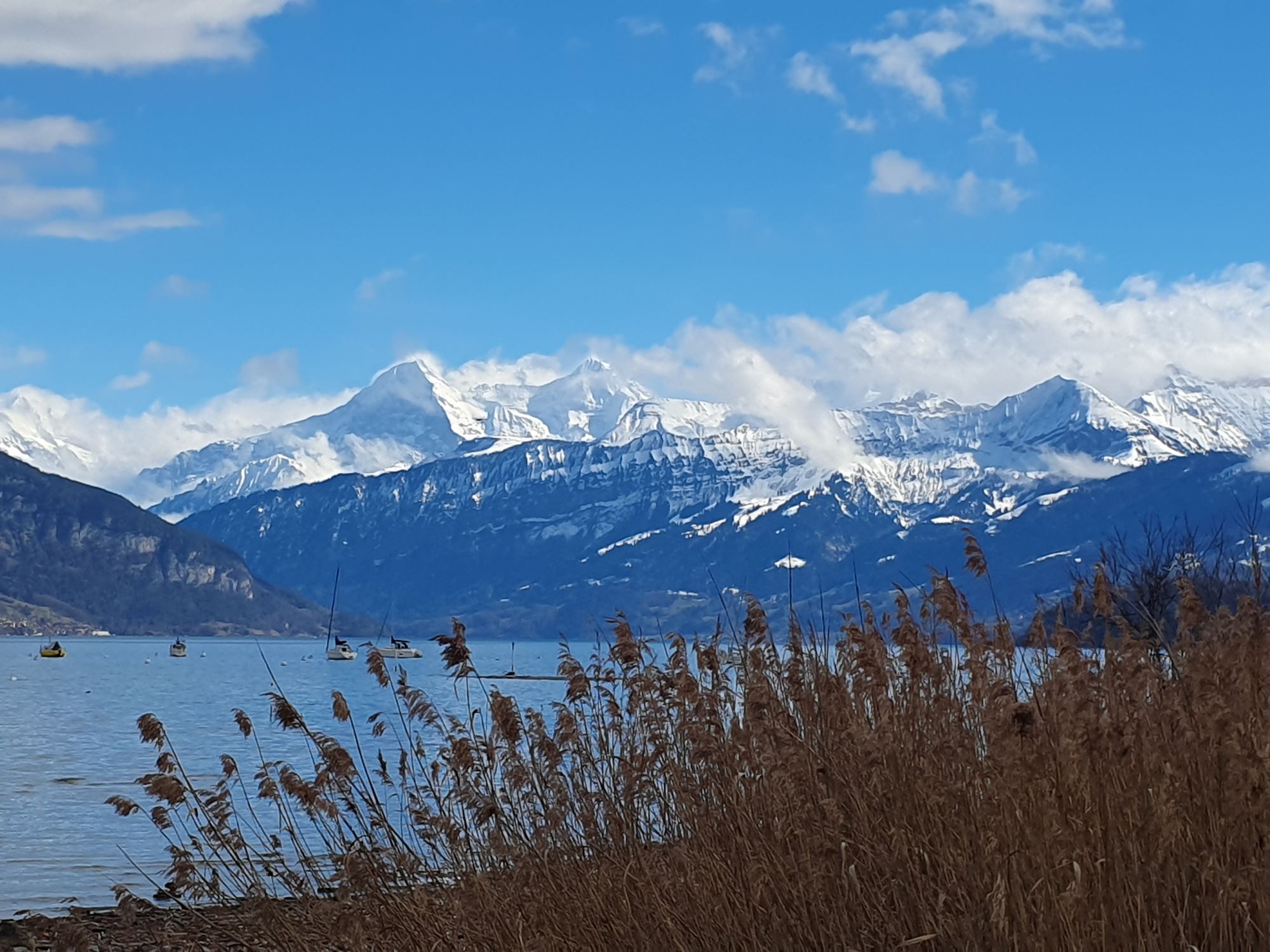 Urlaub-mit-Hund: Wandergebiet rings um die Seen - Chalet-Gafri BnB - die traditionelle Frühstückspension 