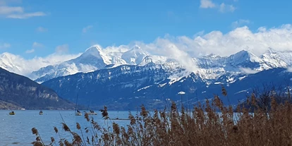 Hundehotel - WLAN - Saanenmöser - Wandergebiet rings um die Seen - Chalet-Gafri BnB - die traditionelle Frühstückspension