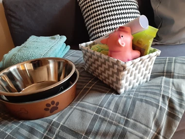 Ferienhaus mit Hund: Wir begrüßen unsere vierbeinigen Gäste mit einem kleinen Wollkommens Körberl!
Natürlich wartet auch für Frauerl und Herrchen eine Kleinigkeit !
 - Ferienhaus Harmonie