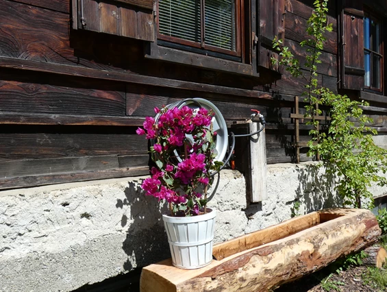 Ferienhaus mit Hund: ganz super ist der Brunnen im Garten er dient als Tränke und auch als Hundewaschanlage man kann die Pfoten gut mir dem Schlauch abbrausen.  - Ferienhaus Harmonie