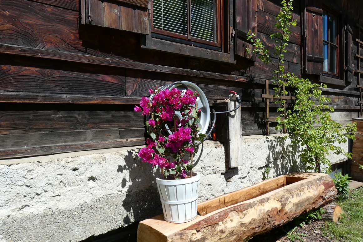 Ferienhaus mit Hund: ganz super ist der Brunnen im Garten er dient als Tränke und auch als Hundewaschanlage man kann die Pfoten gut mir dem Schlauch abbrausen.  - Ferienhaus Harmonie