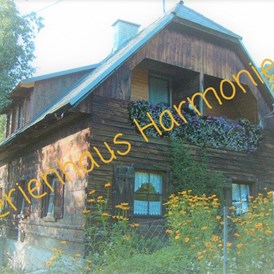 Ferienhaus mit Hund: Ferienhaus Harmonie das Holzhäuschen in der Steiermark  - Ferienhaus Harmonie