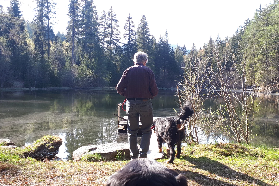 Ferienhaus mit Hund: Viele schöne Teiche und Seen in unmittelbarer Nähe!! Zu jeder Jahreszeit eine eigene schöne Stimmung am See...  - Ferienhaus Harmonie