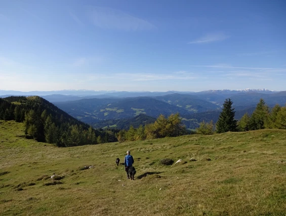 Ferienhaus mit Hund: Leichte bis mittelschwere geführte Bergtoren - sind auch mit uns möglich!!  - Ferienhaus Harmonie