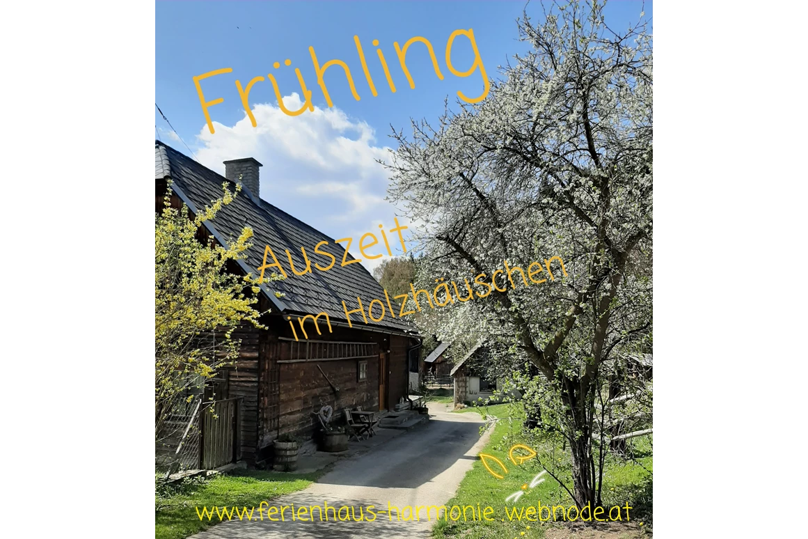 Ferienhaus mit Hund: Ob Frühling Sommer Herbst und Winter eure Wanderungen mit den Hunden könnt ihr hier gleich vorm Haus starten!! - Ferienhaus Harmonie