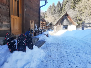 Ferienhaus mit Hund: Wir verliehen an unsere Gäste auch gratis Schneeschuhe!! Mit Hunden muss man einfach Quer-Feld ein- laufen!!! - Ferienhaus Harmonie
