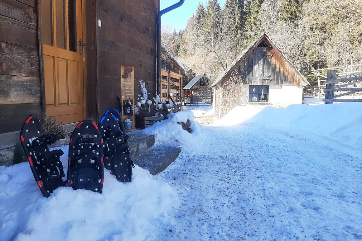 Ferienhaus mit Hund: Wir verliehen an unsere Gäste auch gratis Schneeschuhe!! Mit Hunden muss man einfach Quer-Feld ein- laufen!!! - Ferienhaus Harmonie