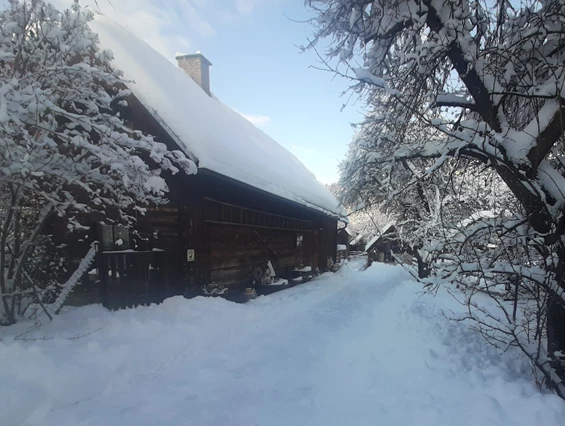 Ferienhaus mit Hund: Wir sind ein vier Jahreszeiten Haus!!! Frühling, Sommer, Herbst und Winter. Auch im Winter ist eine einfache Anreise nur mit Winterreifen möglich! - Ferienhaus Harmonie