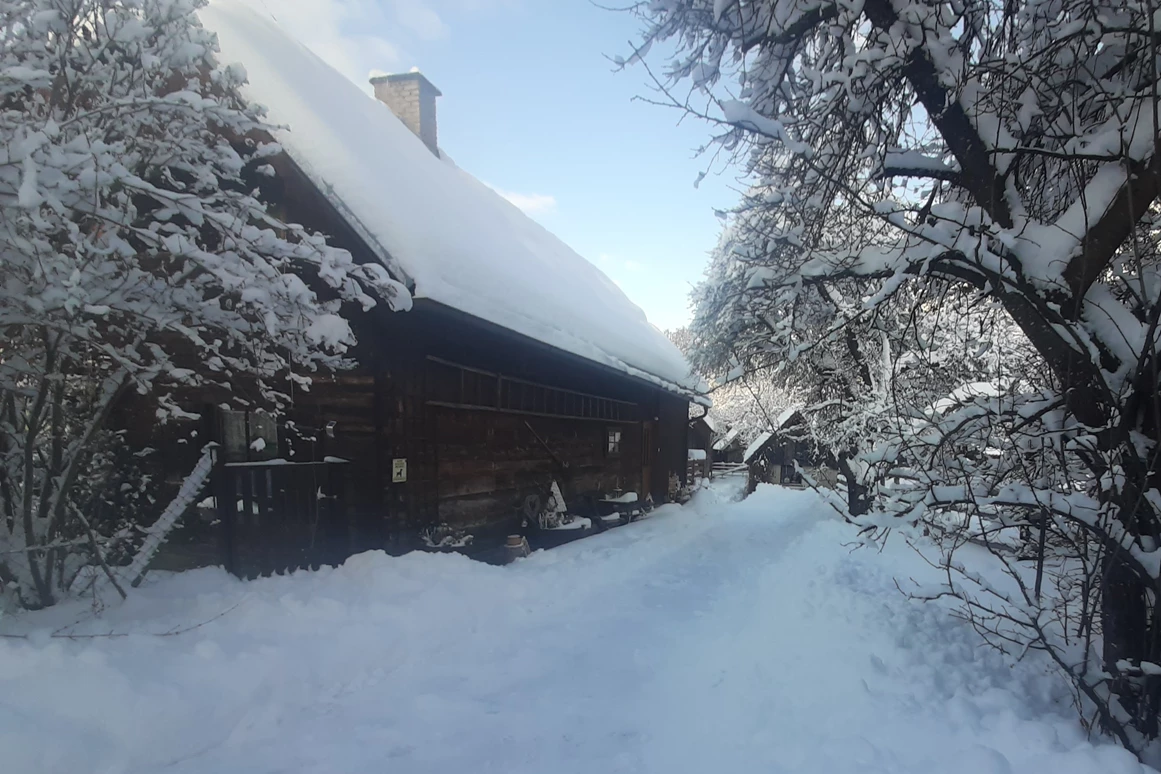 Ferienhaus mit Hund: Wir sind ein vier Jahreszeiten Haus!!! Frühling, Sommer, Herbst und Winter. Auch im Winter ist eine einfache Anreise nur mit Winterreifen möglich! - Ferienhaus Harmonie
