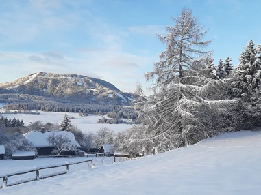 Ferienhaus mit Hund: Ferienhaus Harmonie im Winter!!! Eingebettet in viel Natur!!! - Ferienhaus Harmonie