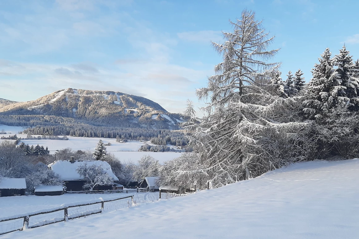 Ferienhaus mit Hund: Ferienhaus Harmonie im Winter!!! Eingebettet in viel Natur!!! - Ferienhaus Harmonie