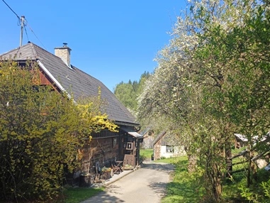 Ferienhaus mit Hund: Frühling im Ferienhaus Harmonie... eine ganz besondere Zeit des Erwachens...  - Ferienhaus Harmonie