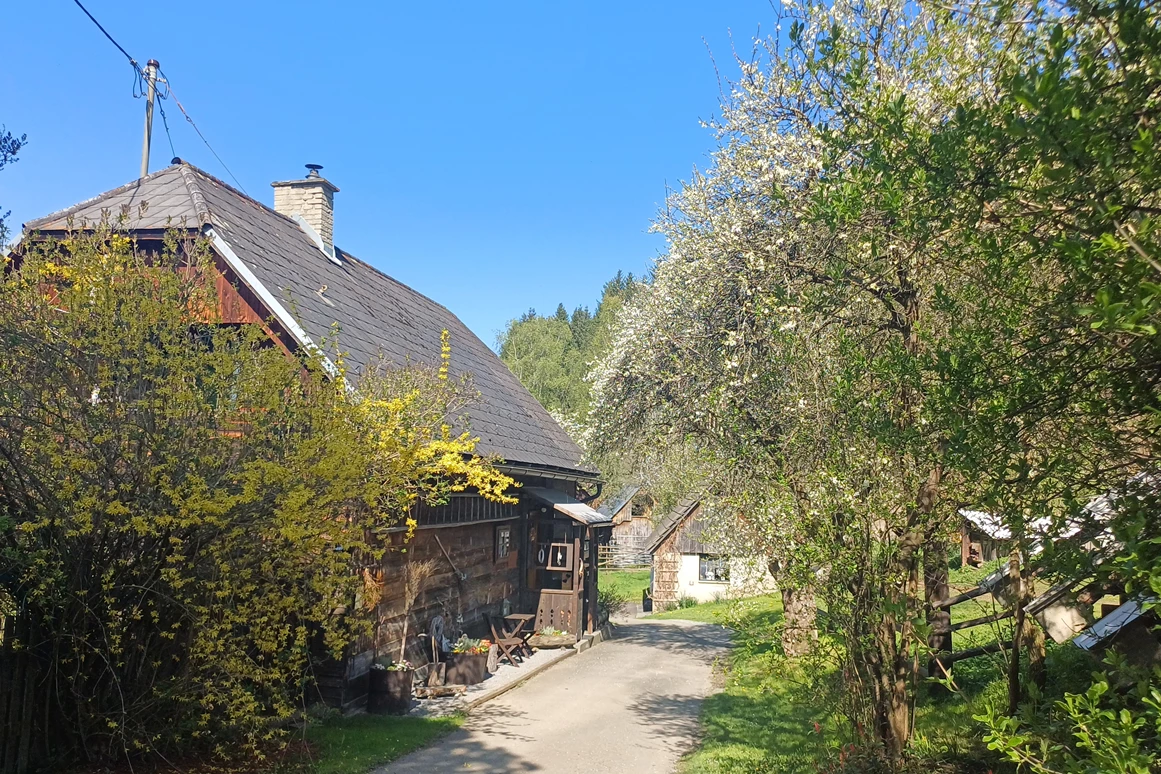 Ferienhaus mit Hund: Frühling im Ferienhaus Harmonie... eine ganz besondere Zeit des Erwachens...  - Ferienhaus Harmonie