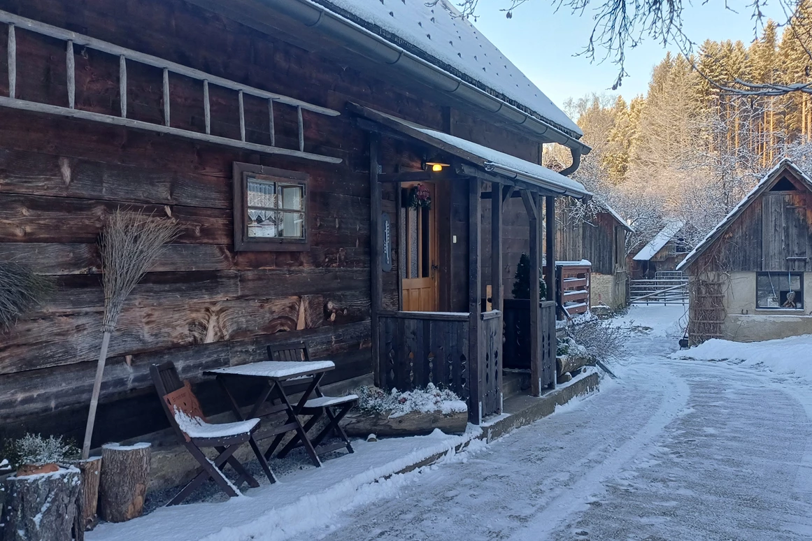 Ferienhaus mit Hund: Ein neuer Eingang mit Üderdach- war nötig, so kommt man ohne Schnee ins Haus!! - Ferienhaus Harmonie