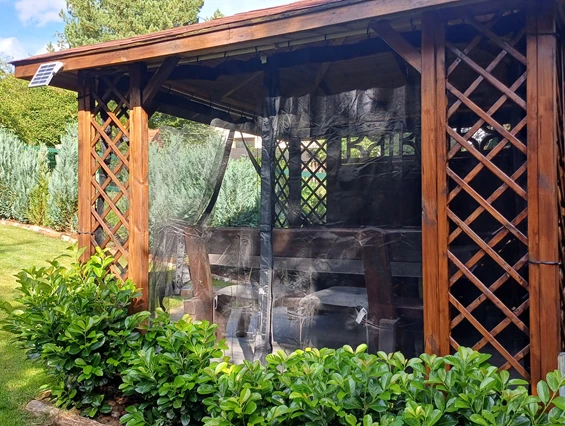 Ferienhaus mit Hund: Insektenschutz gegen lästige Wespen.. Mücken gibt es bei uns nur wenige... - Ferienhaus Harmonie