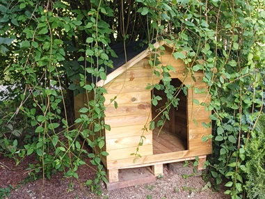 Ferienhaus mit Hund: und neue Hundespiel "Dornröschen Hütte"  ;-) - Ferienhaus Harmonie