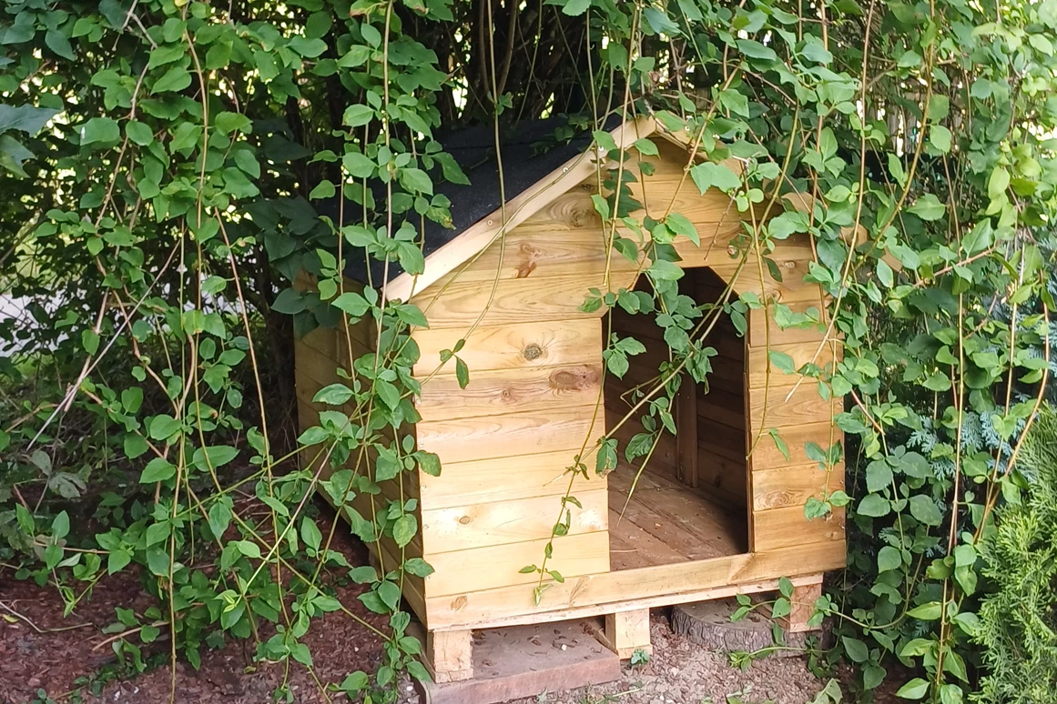 Ferienhaus mit Hund: und neue Hundespiel "Dornröschen Hütte"  ;-) - Ferienhaus Harmonie