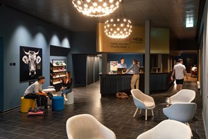 Hundehotel - Verpflegung: Frühstück - Grindelwald - THE HEY HOTEL - Lobby - THE HEY HOTEL